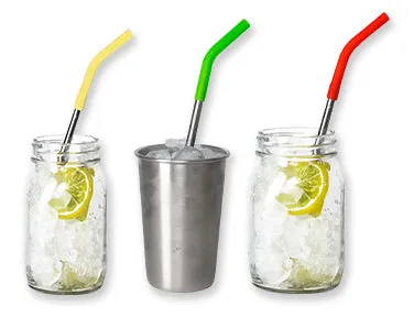 4-Pack Stainless Steel Straws with Brush